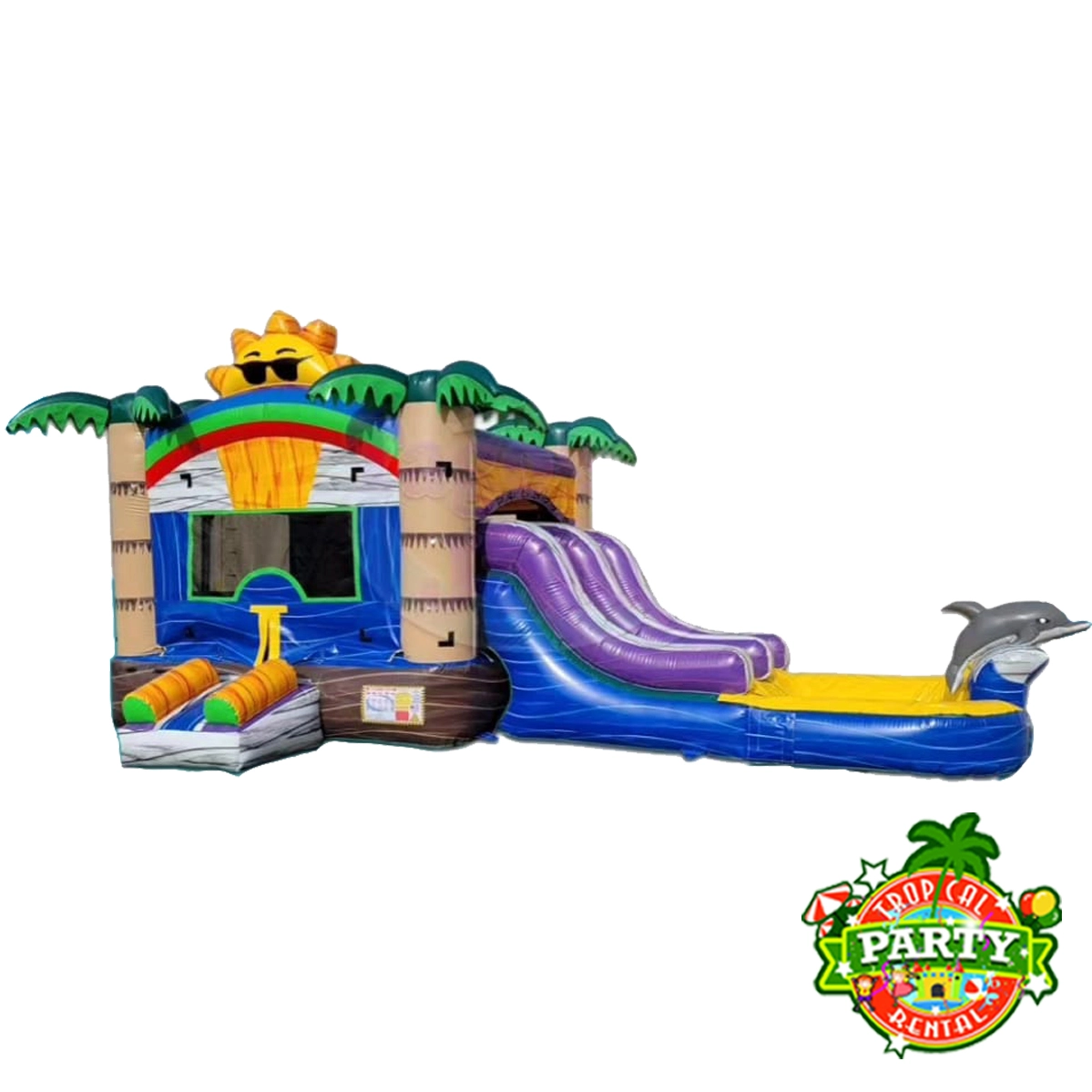 Tropical Dolphin Combo Water Slide Double Lane